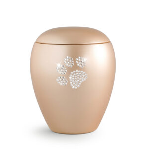 Swarovski-Paw apricot