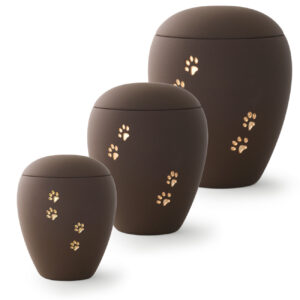 Brown with golden paw-relief