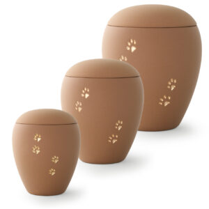 Sand with golden paw-relief