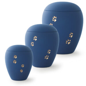 Blue with golden paw-relief