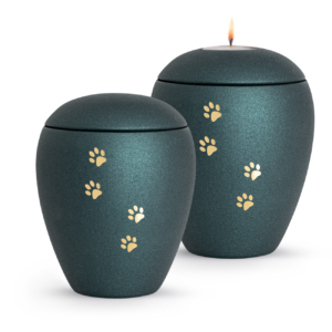 Petrol with golden paws